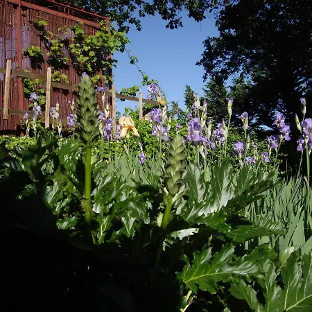 La Bastide De Mauragne - Les Iris
